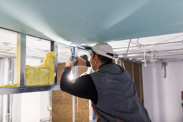 Best Energy Efficiency Insulation in Sun Village, CA