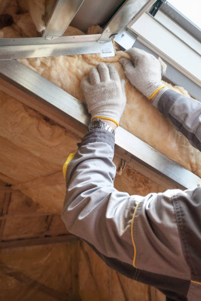 Best Insulation for Specific Applications in Sun Village, CA