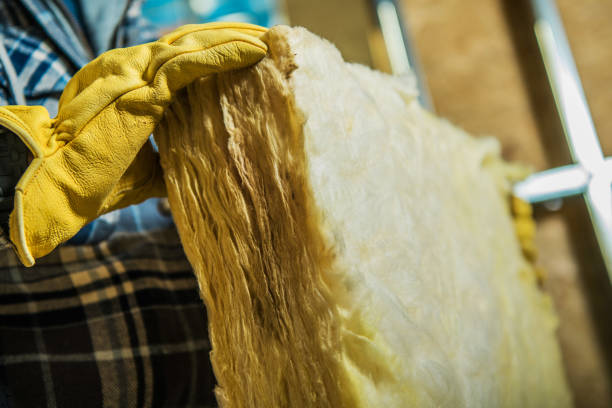 Best Blown-in Insulation in Sun Village, CA