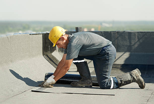 Best Eco-Friendly Insulation in Sun Village, CA